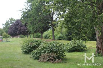 Roosevelt & Hazelton Park in Wheaton, IL