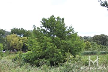 Firefighter's Park in Wheaton, IL