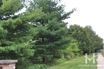 Firefighter's Park in Wheaton, IL