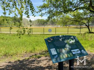 Wynwood Fields Park in Winfield, IL