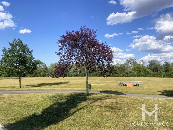 Clauss Recreation Area in Roselle, IL