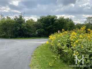 Photos of Greene Valley Forest Preserve in Woodridge, IL