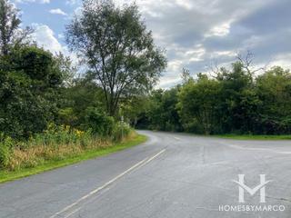 Greene Valley Forest Preserve in Woodridge, IL