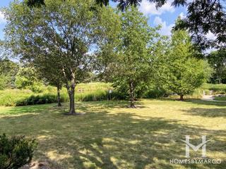 Ide's Grove East Park in Woodridge, IL