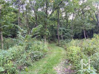 Photos of Boundary Hill Woods in Woodridge, IL