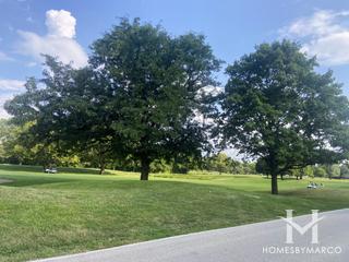 Photos of Village Greens Golf Course in Woodridge, IL