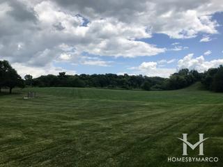 Harris Forest Preserve in Yorkville, IL