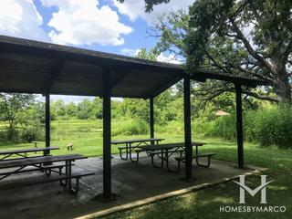 Harris Forest Preserve in Yorkville, IL
