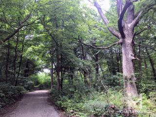 Harris Forest Preserve in Yorkville, IL