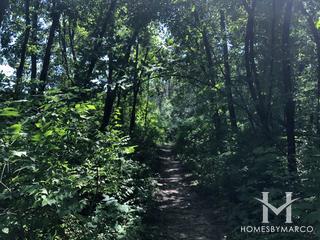 Lyon/Richard Young Forest Preserve in Yorkville, IL