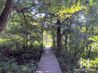 Lyon/Richard Young Forest Preserve in Yorkville, IL