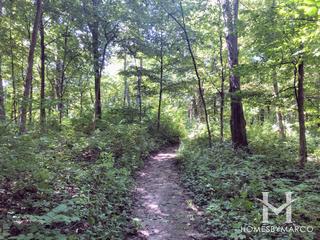 Lyon/Richard Young Forest Preserve in Yorkville, IL