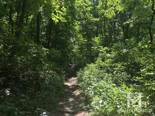 Lyon/Richard Young Forest Preserve in Yorkville, IL