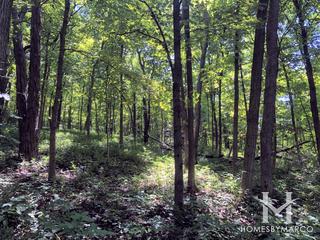 Lyon/Richard Young Forest Preserve in Yorkville, IL