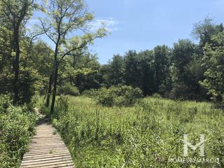 Lyon/Richard Young Forest Preserve in Yorkville, IL