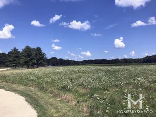 Hoover Forest Preserve in Yorkville, IL