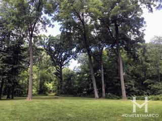 Hoover Forest Preserve in Yorkville, IL
