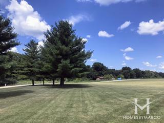 Hoover Forest Preserve in Yorkville, IL