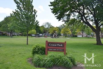 Photos of Cronin Park in Arlington Heights, IL