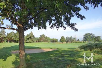 Nickol Knoll Golf Club in Arlington Heights, IL