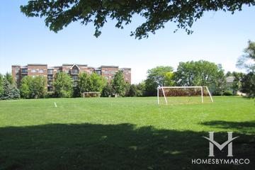 Frenchmens Cove Park in Arlington Heights, IL