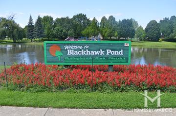 Photos of Blackhawk Pond Park in Bolingbrook, IL