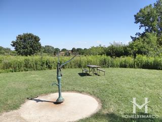 Buffalo Creek Forest Preserve in Buffalo Grove, IL