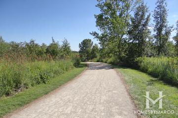 Buffalo Creek Forest Preserve in Buffalo Grove, IL