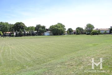 Lions Park in Buffalo Grove, IL