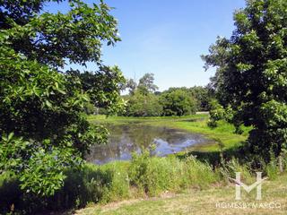 Rahlfs Woods Park in Streamwood, IL