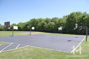 Aptakisic Park in Buffalo Grove, IL