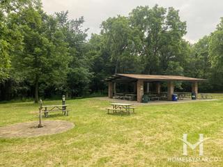 Columbia Woods Forest Preserve in Burr Ridge, IL