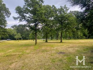 Columbia Woods Forest Preserve in Burr Ridge, IL