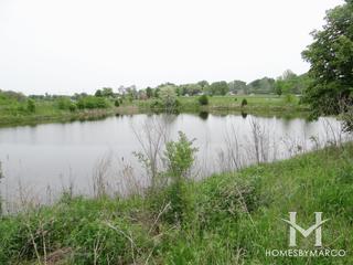 Photos of Red Hawk Park Forest Preserve in Carol Stream, IL