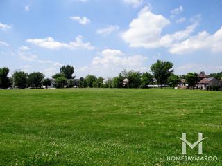 Walter Park in Carol Stream, IL
