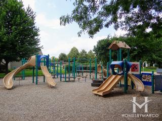 Park on the Green in Carol Stream, IL