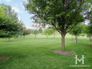 Sundance Park in Carol Stream, IL