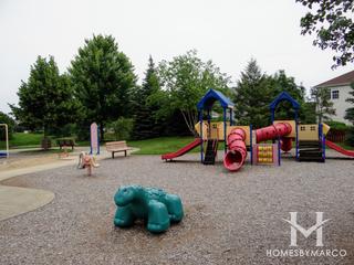 Blue Heron Park in Carol Stream, IL