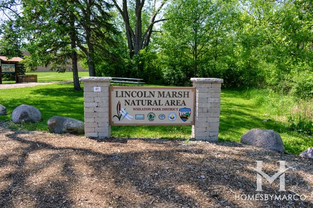 Lincoln Marsh Forest Preserve in Wheaton, IL