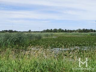 Lippold Park in Crystal Lake, IL