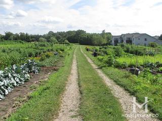 Hill Farm Park in Crystal Lake, IL