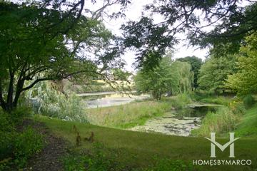 Winding Creek Park in Crystal Lake, IL