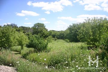 Prairie Ridge Conservation Area in Crystal Lake, IL