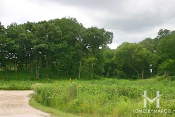 Sterne's Woods and Fen Park and Preserve in Crystal Lake, IL