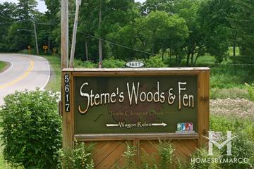 Photos of Sterne's Woods and Fen Park and Preserve in Crystal Lake, IL