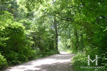 Sterne's Woods and Fen Park and Preserve in Crystal Lake, IL