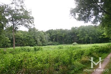 Sterne's Woods and Fen Park and Preserve in Crystal Lake, IL