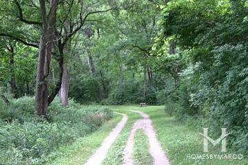 Sterne's Woods and Fen Park and Preserve in Crystal Lake, IL