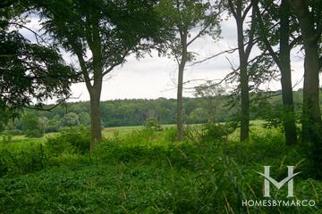 Sterne's Woods and Fen Park and Preserve in Crystal Lake, IL