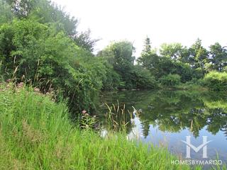 Hidden Pond Bike Path in Crystal Lake, IL